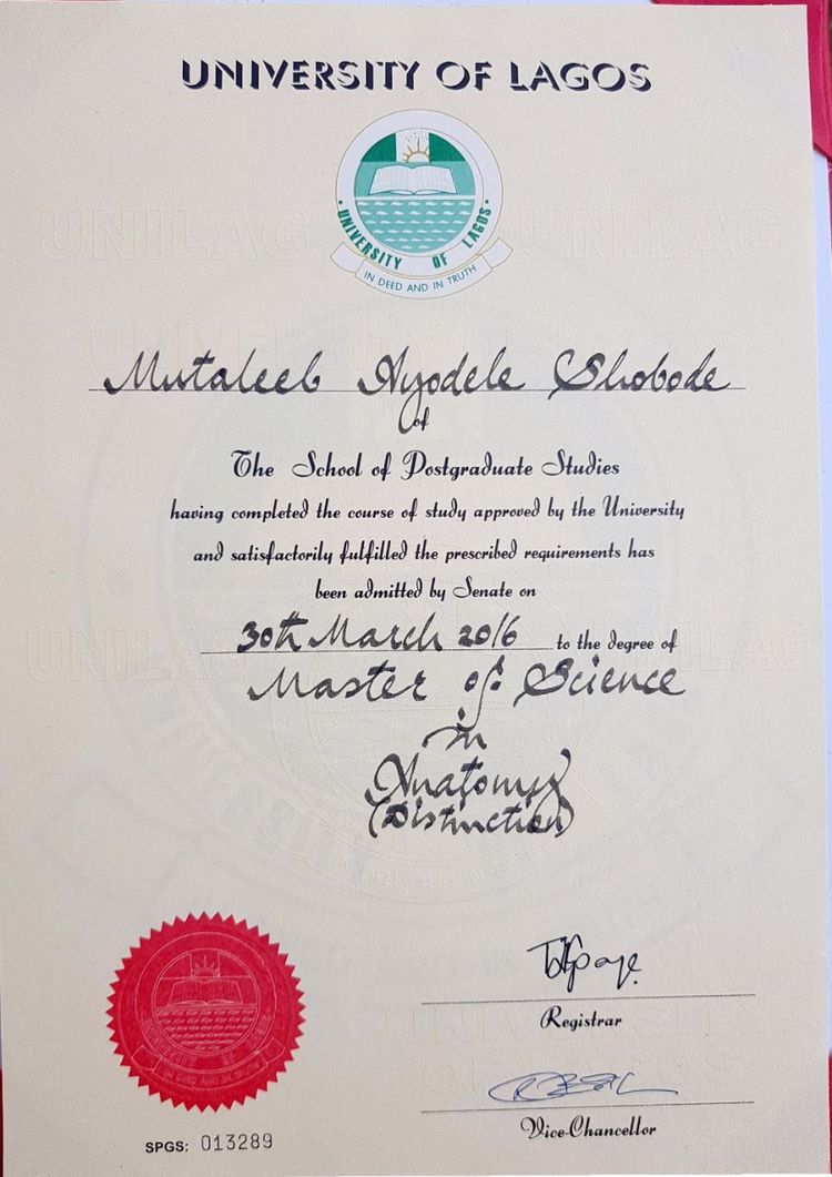 buy-college-degree-from-the-university-of-lagos Buy college degree from The University of Lagos